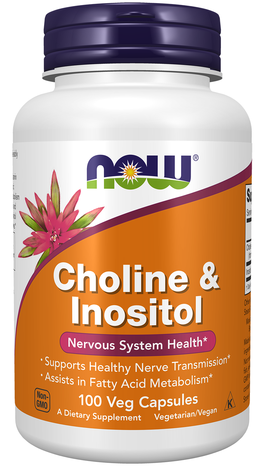 Now Foods CHOLINE & INOSITOL 500 mg - 100 Veg Capsules