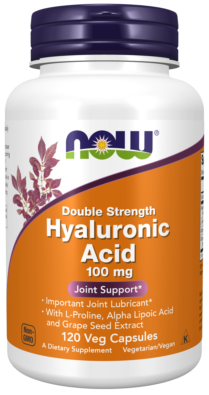 Now Foods Hyaluronic Acid 100mg - 120 Veg Capsules