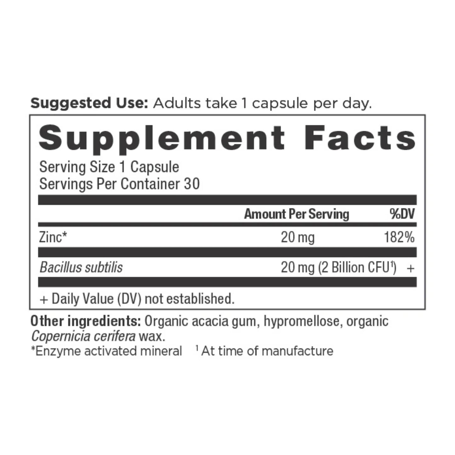 Ancient Nutrition ZINC+PROBIOTIC - 30 Capsules