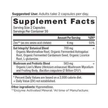Ancient Nutrition LEAKY GUT SUPPORT - 90 Capsules