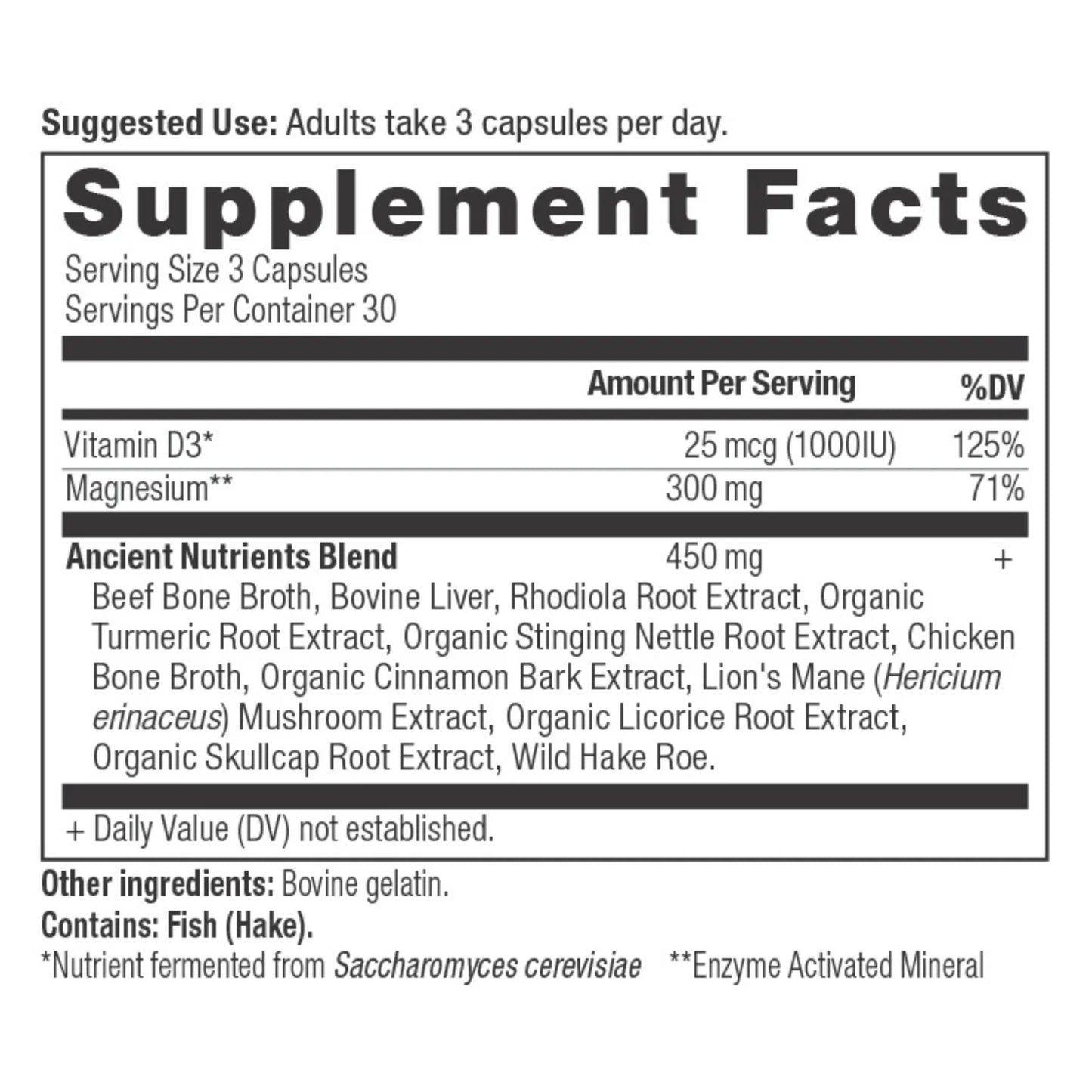 Ancient Nutrition MAGNESIUM - 90 Capsules