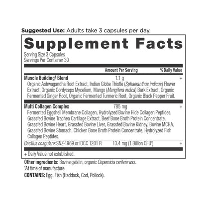 Ancient Nutrition MULTI COLLAGEN ADVANCED MUSCLE - 90 Capsules