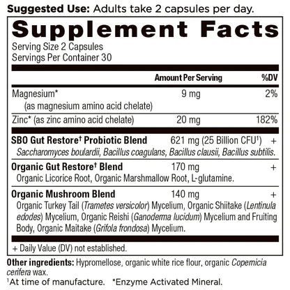 Ancient Nutrition SBO PROBIOTICS Gut Restore 25 Billion CFU - 60 Capsules