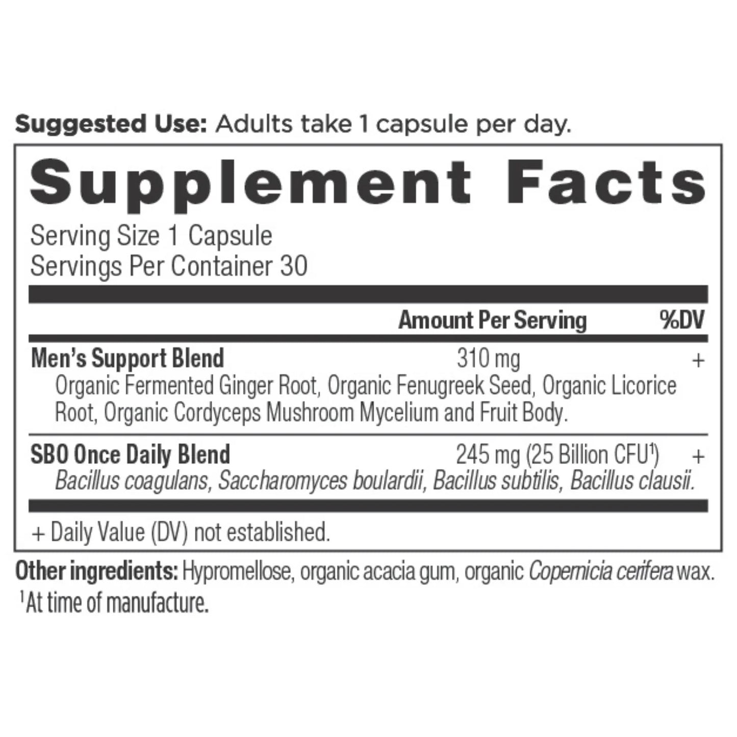 Ancient Nutrition SBO PROBIOTICS Men's Once Daily - 30 Capsules