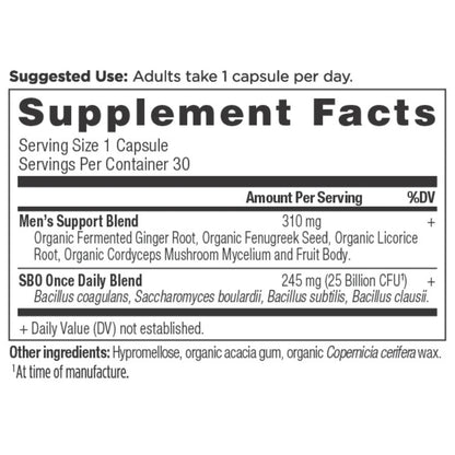 Ancient Nutrition SBO PROBIOTICS Men's Once Daily - 30 Capsules