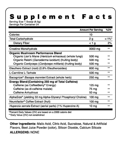 Ambrosia Collective KINETIC Pre-Workout 24 Servings