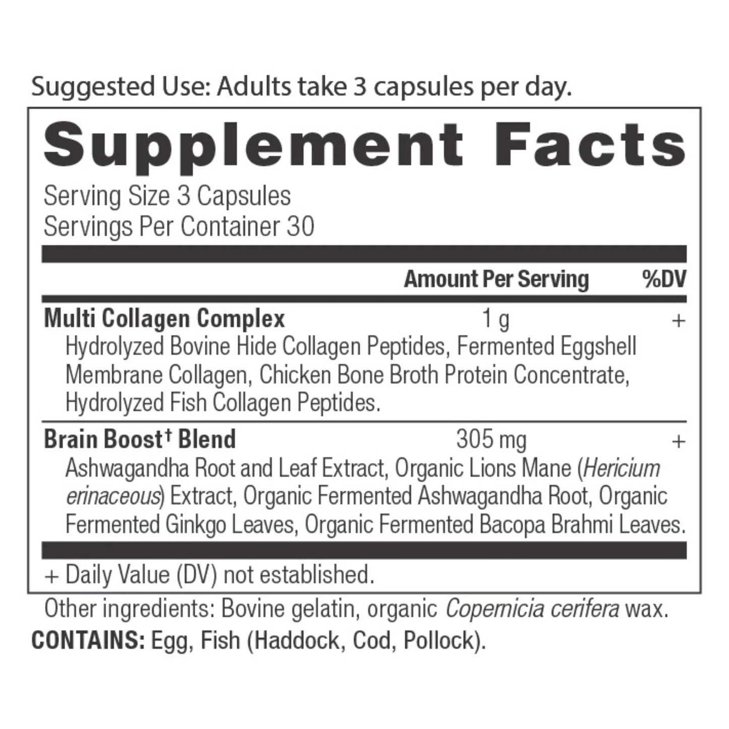 Ancient Nutrition MULTI COLLAGEN PROTEIN BRAIN BOOST - 90 Capsules