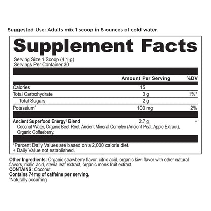 Ancient Nutrition CLEAN ENERGY 4.3 OZ